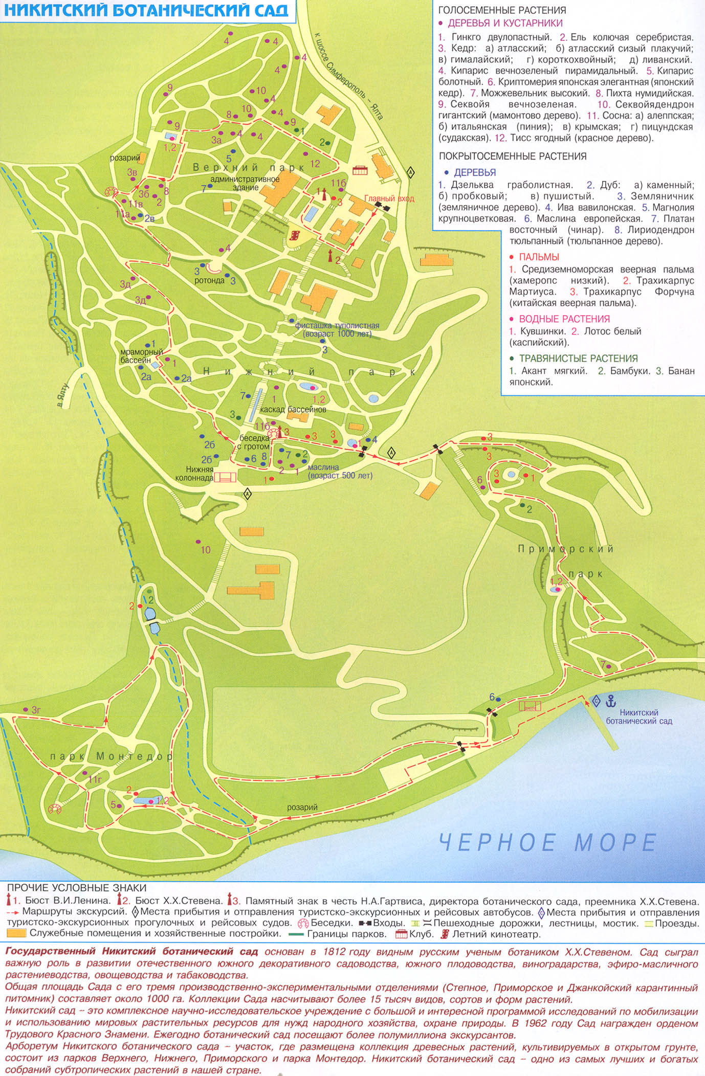 План никитского ботанического сада в крыму